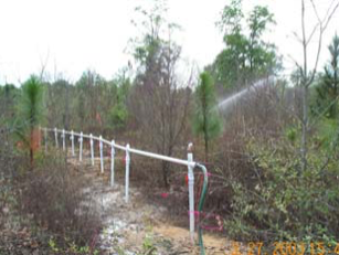 Gasoline Release in Marsh Treated with HC-2000