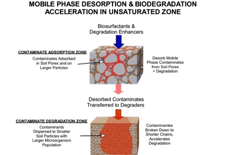 Mobile Phase Desorption & Degradation in the Unsaturated and Saturated Zones