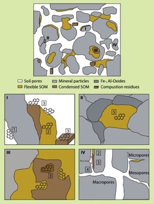 pollutant sequestration