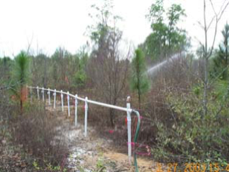 HC2000 Gasoline Contamination
Wetland Remediation