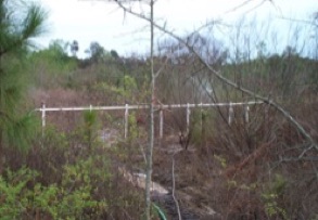 Second Bioremediation Bio-Fence Jessup GA