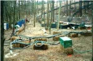 JP-8 Stream Bank Bioremediation at Golf Course Atlanta GA