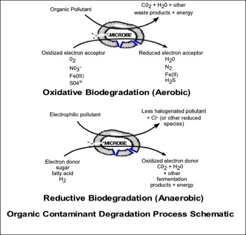 Organic Contaminant Degradation Process Schematic