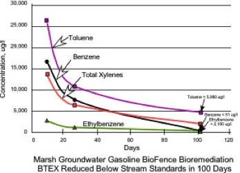 Marsh BTEX BioFence Bioremediation