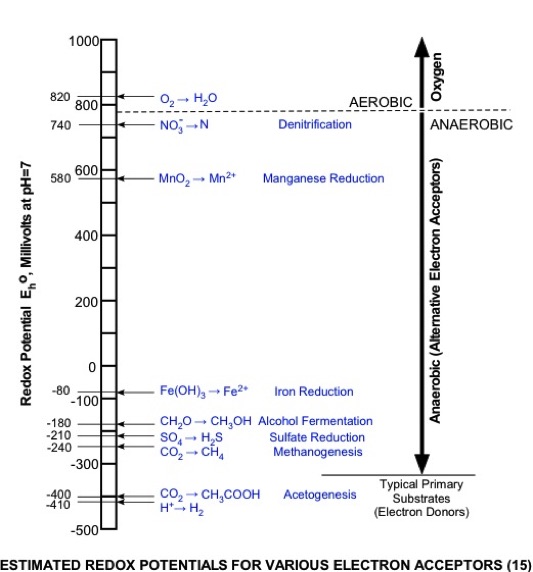 Estimated Redox Potential for Various Electron Acceptors