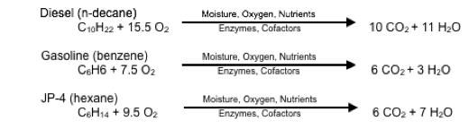 Aerobic Mineralization of Petroleum Hydrocarbons