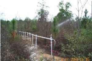 Bioremediation Wetland Contaminated with Gasoline, Jessup, GA