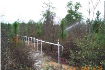 Bioremediation Gasoline Contaminated Wetland Macon GA