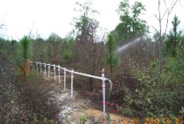 Bioremediation Wetland Gasoline Jessup GA