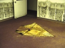 Mold in Flooded Building