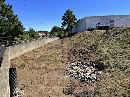 Restored Detention Basin