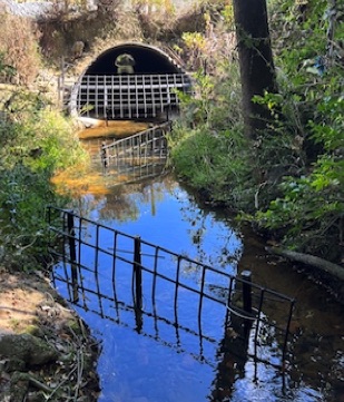 Stormwater Culvert Debris Barrier 