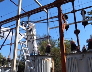 Substation PCB Cabling Removal
for Incineration Hartwell SC